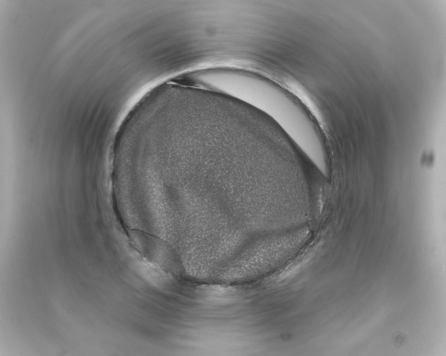 X0000090421124200708101936