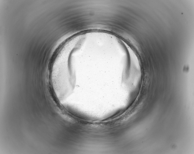 X0000090421125200708101936