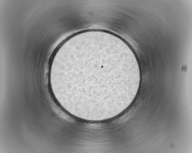 X0000090421126200708101936