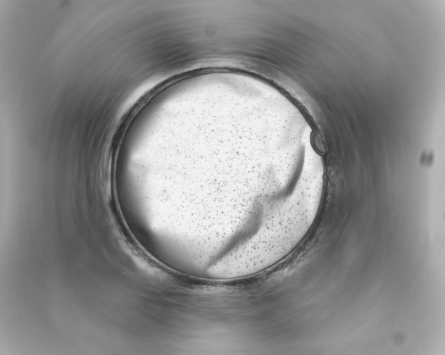X0000090421127200708101936