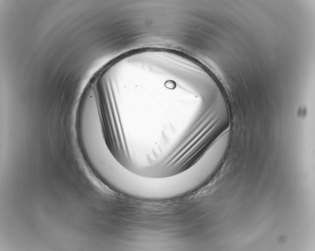 X0000090421128200708101936