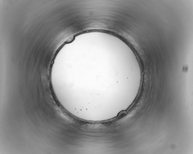 X0000090421129200708101936