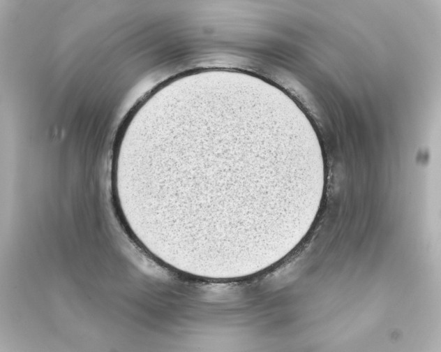 X0000090421130200708101936