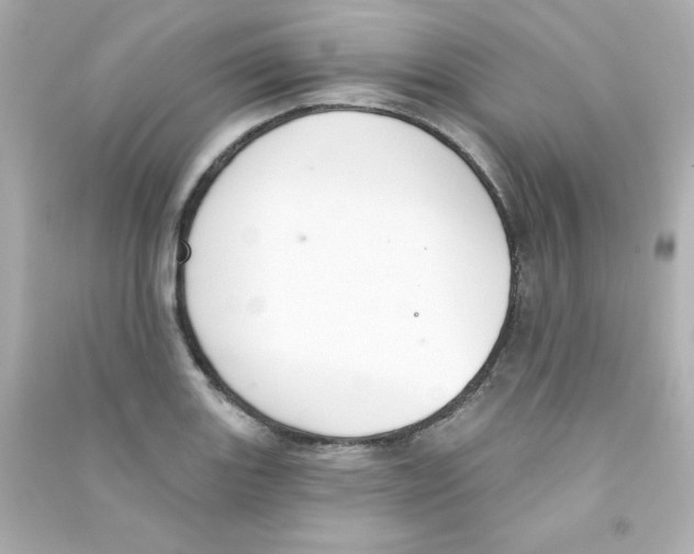 X0000090421131200708101936