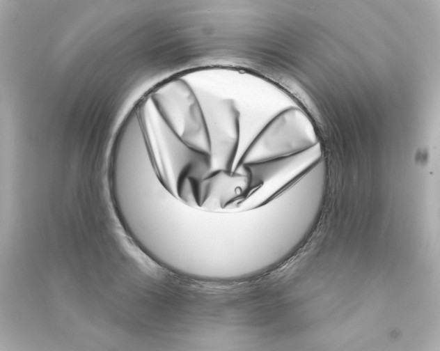 X0000090421132200708101936