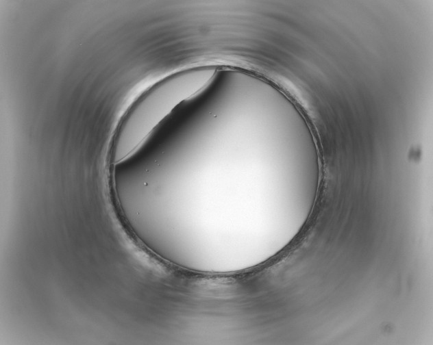X0000090421133200708101936
