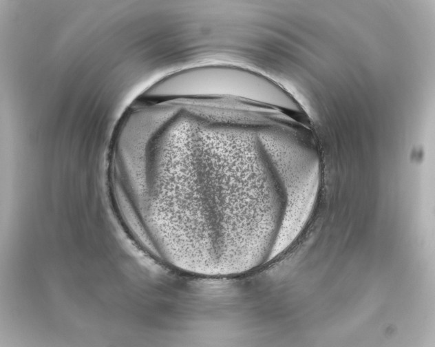 X0000090421134200708101936