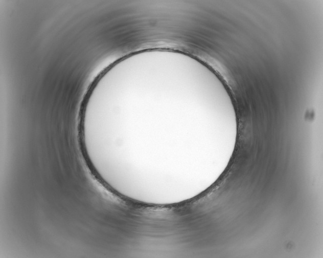 X0000090421135200708101936