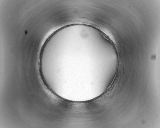 X0000090421136200708101936