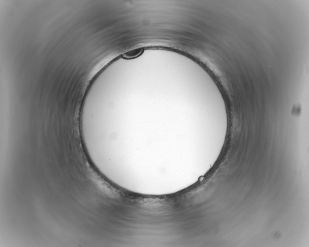 X0000090421137200708101936