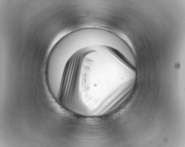 X0000090421138200708101937