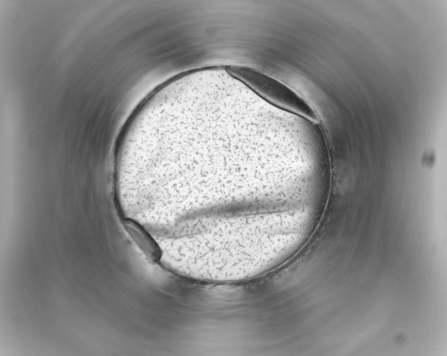 X0000090421140200708101937
