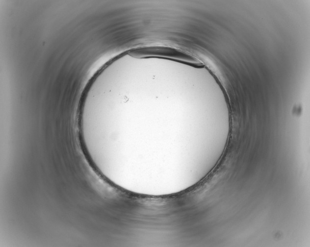 X0000090421141200708101937