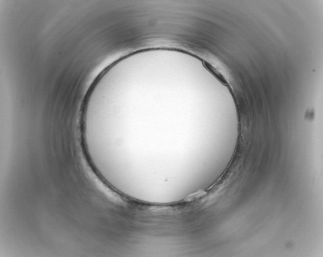 X0000090421142200708101937