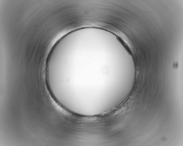 X0000090421143200708101937