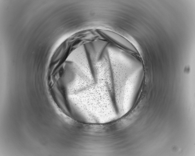 X0000090421144200708101937