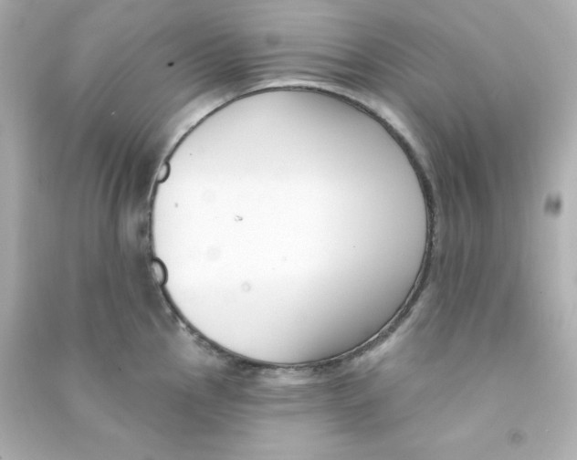X0000090421145200708101937