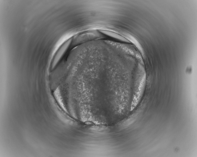 X0000090421146200708101937