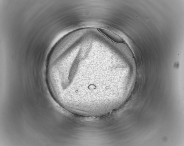 X0000090421147200708101937