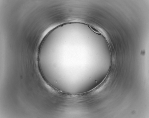 X0000090421149200708101937