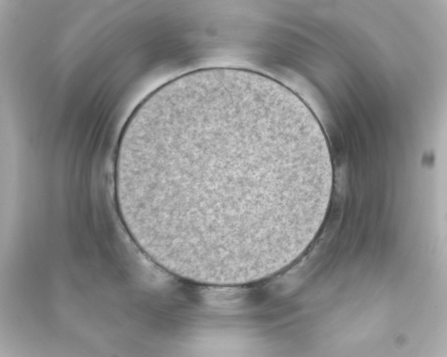 X0000090421150200708101937