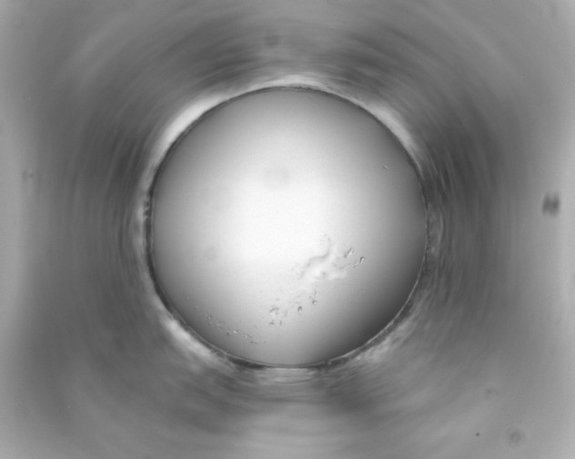 X0000090421151200708101937