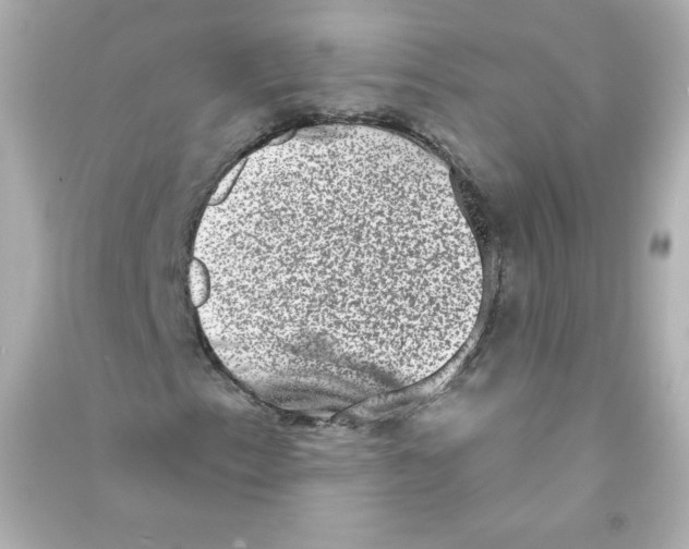 X0000090421153200708101936