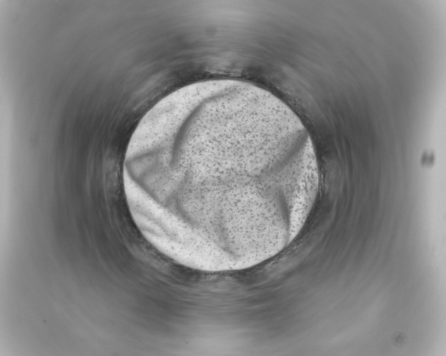 X0000090421154200708101936