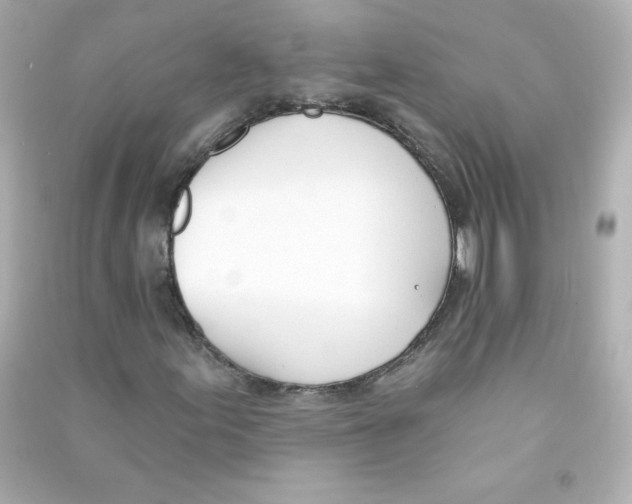 X0000090421155200708101936