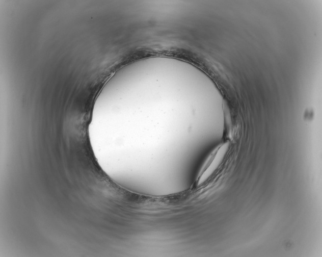 X0000090421156200708101936
