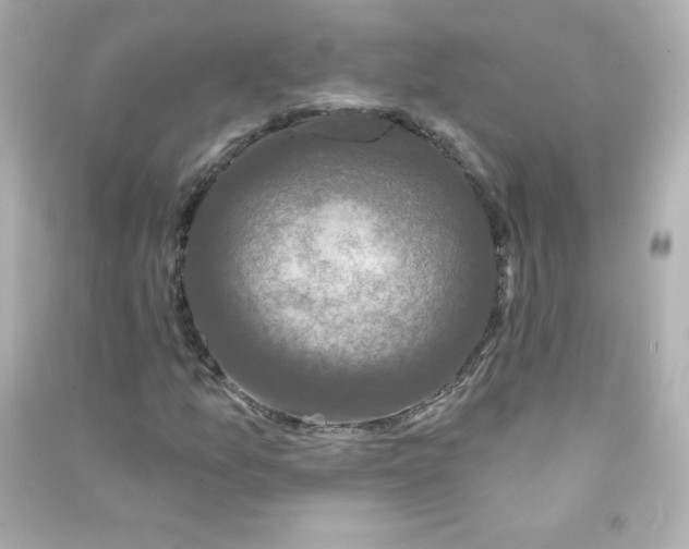X0000090421157200708101936