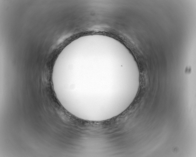 X0000090421158200708101936