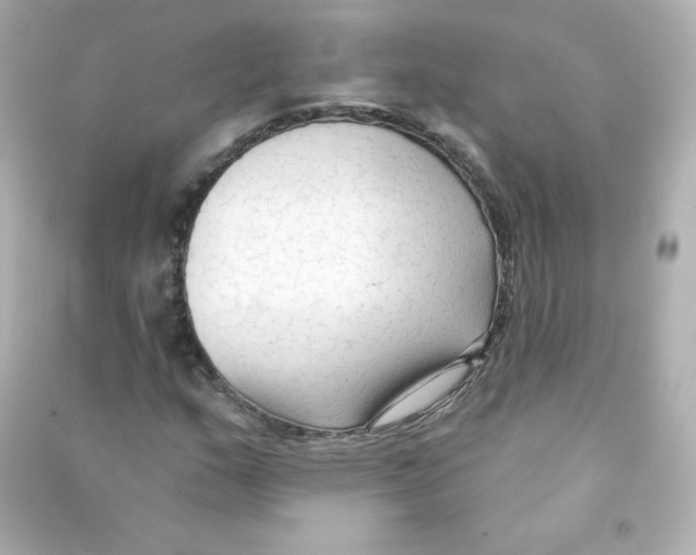 X0000090421159200708101936