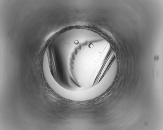 X0000090421160200708101936