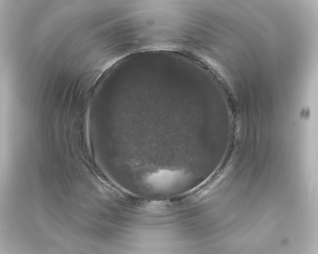 X0000090421161200708101936
