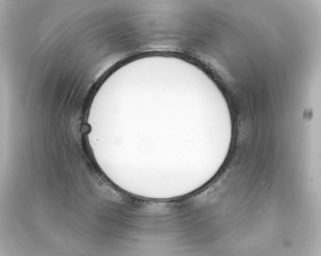 X0000090421162200708101936