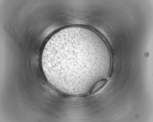 X0000090421163200708101936