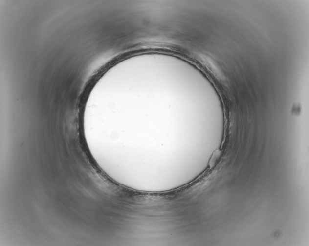 X0000090421164200708101936