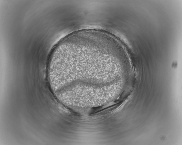 X0000090421165200708101936
