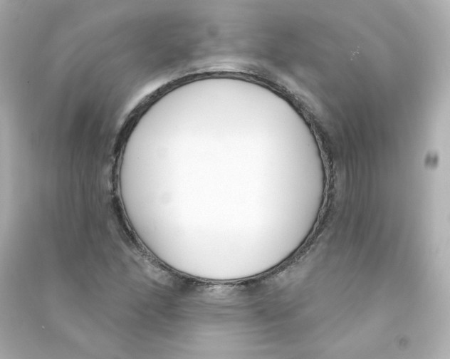 X0000090421166200708101936