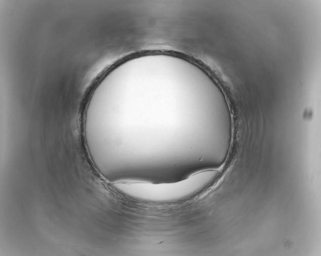 X0000090421167200708101936