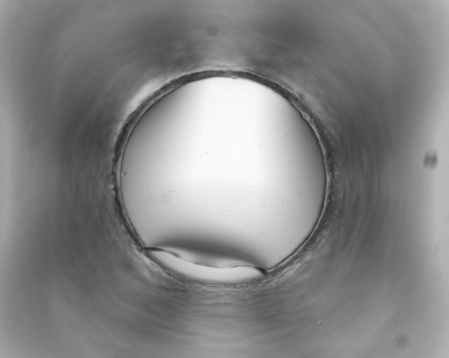 X0000090421168200708101936
