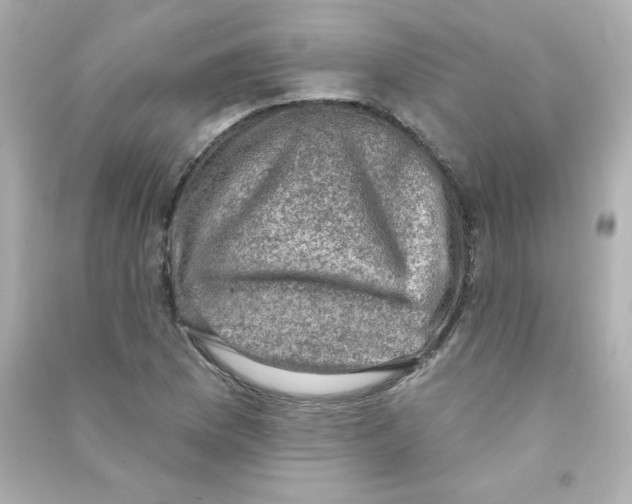 X0000090421169200708101936
