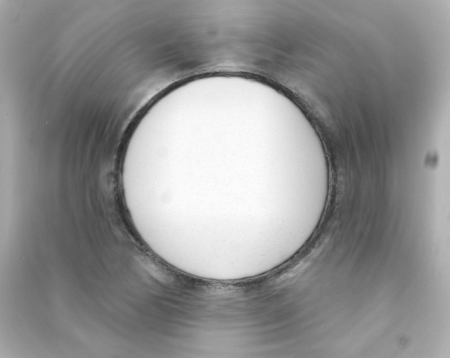 X0000090421170200708101936