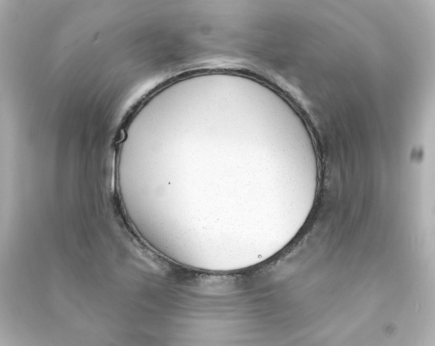 X0000090421171200708101936