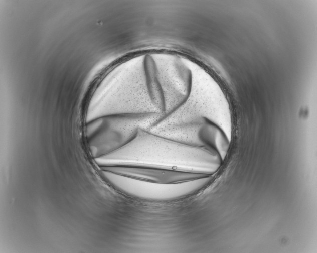 X0000090421172200708101936