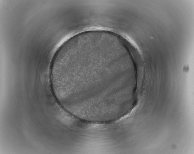 X0000090421173200708101936