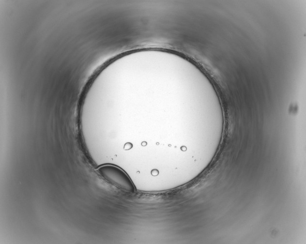 X0000090421174200708101936