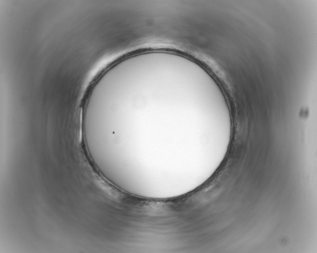 X0000090421175200708101936
