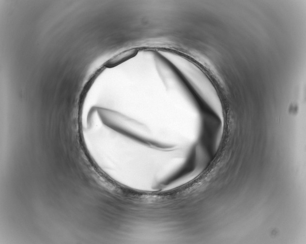 X0000090421176200708101936